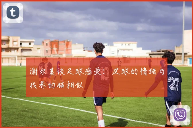 谢尔基谈足球感受：皮球的情绪与我养的猫相似