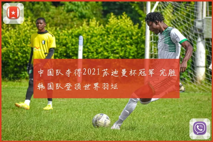 中国队夺得2021苏迪曼杯冠军 完胜韩国队登顶世界羽坛
