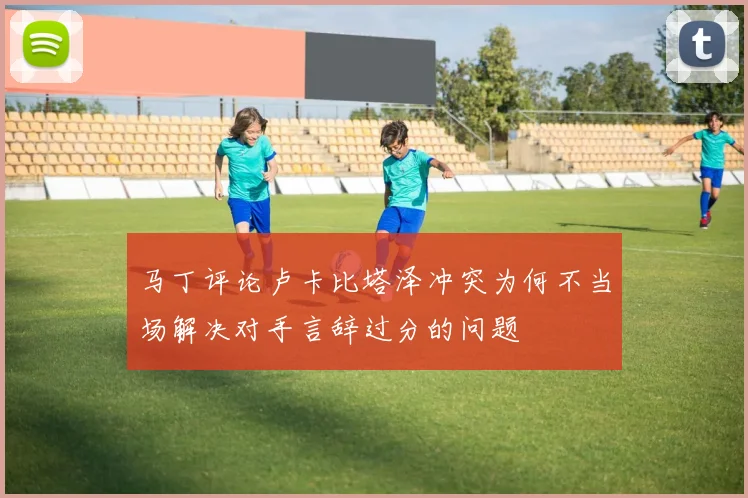马丁评论卢卡比塔泽冲突为何不当场解决对手言辞过分的问题
