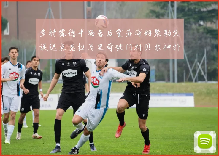 多特蒙德半场落后霍芬海姆聚勒失误送点克拉马里奇破门科贝尔神扑救险局