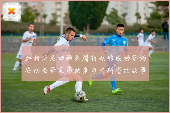加利亚尼回顾秃鹰行动的成功签约安切洛蒂莱昂纳多与内斯塔的故事