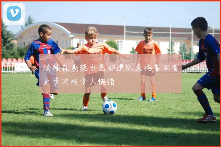 杨瀚森表现出色却遭队友拖累混音止步次轮令人惋惜